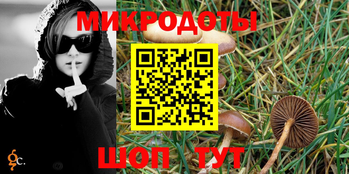 Псилоцибиновые грибы GOLDEN TEACHER  Вход с VPN  Щёкино  Псилоцибиновые грибы Magic Shrooms 