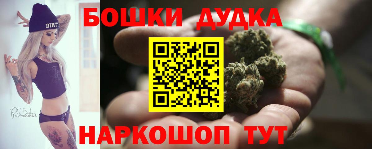 Каннабис планчик Щёкино